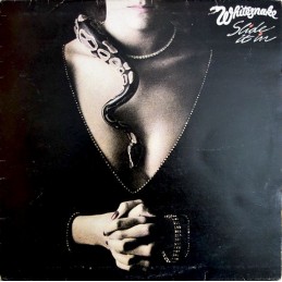 Whitesnake - Slide It In