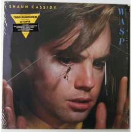 Shaun Cassidy - Wasp