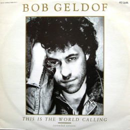 Bob Geldof ‎– This Is The...