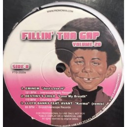 Various - Fillin' Tha Gap...