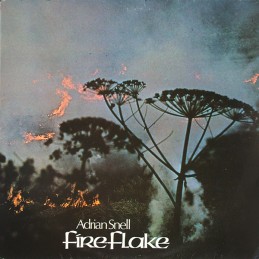 Adrian Snell ‎– FireFlake