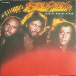 Bee Gees - Spirits Having...