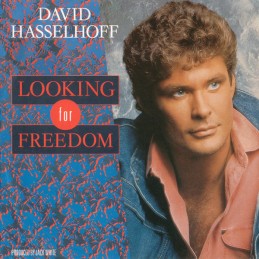 David Hasselhoff - Looking...