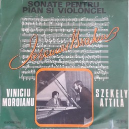 Johannes Brahms, Viniciu...