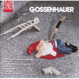 Various - Musik Express...