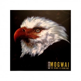 Perspective Alternative –...