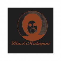 Electronica cu suflet –...