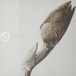 Grass Harp - Röhrenstrom