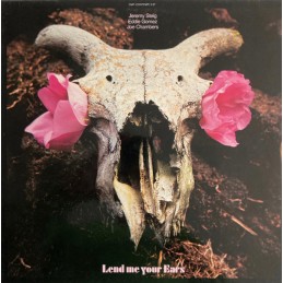 Jeremy Steig, Eddie Gomez,...