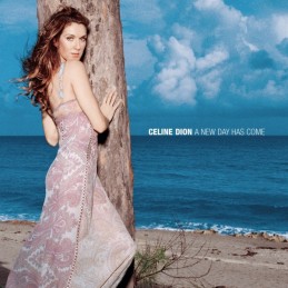 Céline Dion - A New Day Has...