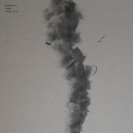 Edward - Fortune Teller