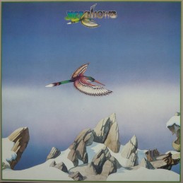 Yes - Yesshows