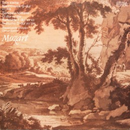 Wolfgang Amadeus Mozart,...