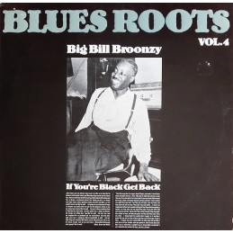 Big Bill Broonzy - If...