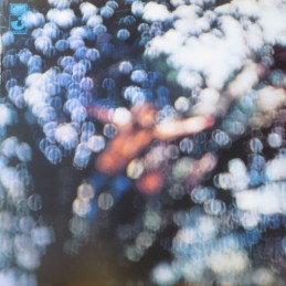 Pink Floyd - Obscured By...
