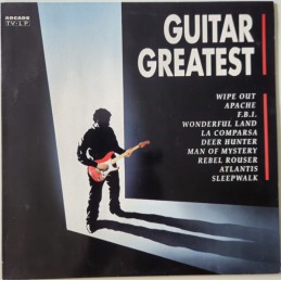 Hans Hollestelle - Guitar...