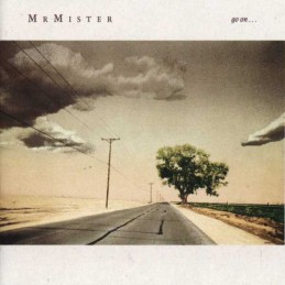 Mr. Mister - Go On...