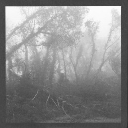 Eidetic Seeing - Against...
