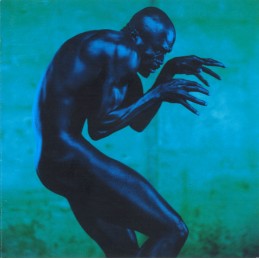 Seal - Human Being