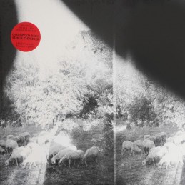 Godspeed You Black Emperor!...