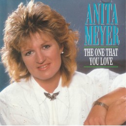 Anita Meyer ‎– The One That...
