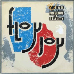 Floy Joy ‎– Weak In The...