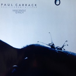 Paul Carrack ‎– Don't Shed...