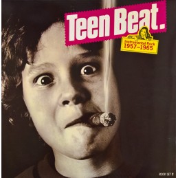 Various ‎– Teen Beat....