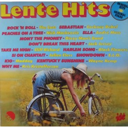 Various ‎– Lente Hits